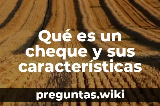 Qué es un cheque y sus características
