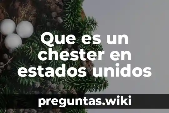 Que es un chester en estados unidos