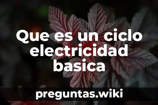 Que es un ciclo electricidad basica