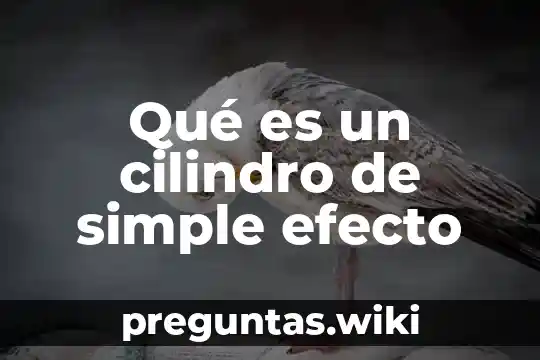 Qué es un cilindro de simple efecto