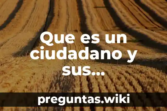 Que es un ciudadano y sus caracteristicas