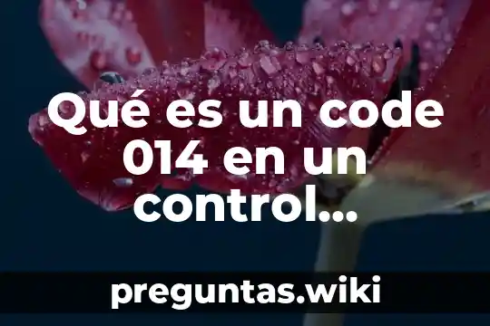 Qué es un code 014 en un control universal Huayu