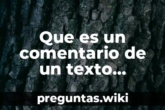 Que es un comentario de un texto literario