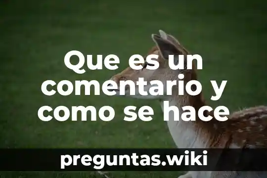 Que es un comentario y como se hace