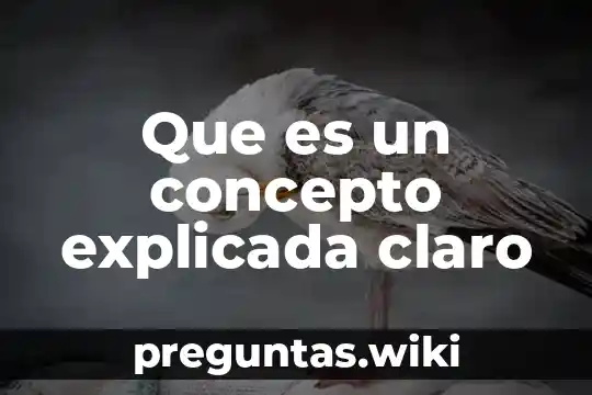 Que es un concepto explicada claro