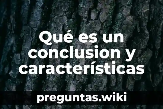 Qué es un conclusion y características