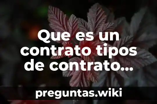 Que es un contrato tipos de contrato mercantilez