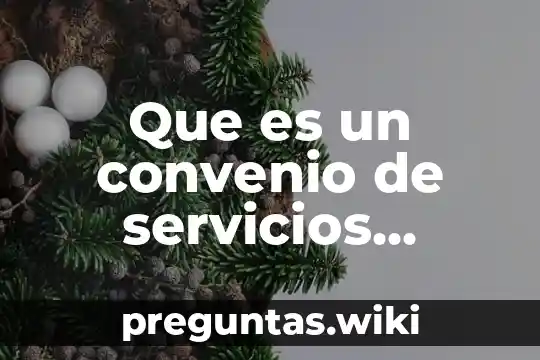 Que es un convenio de servicios profesionales concepto