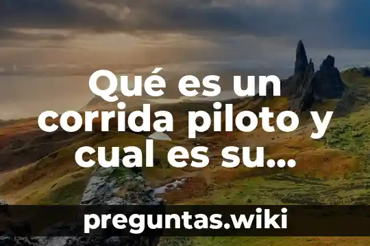 Qué es un corrida piloto y cual es su funcion