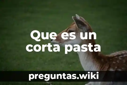 Que es un corta pasta