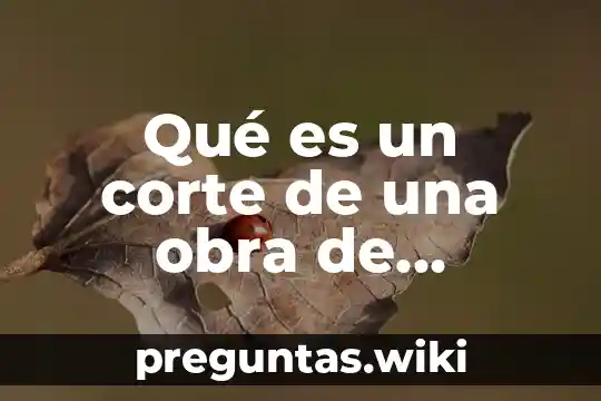 Qué es un corte de una obra de ingeniería