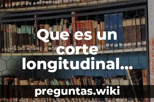 Que es un corte longitudinal fisioterapia
