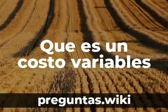 Que es un costo variables