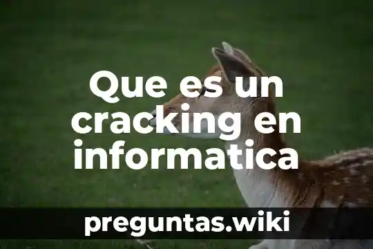 Que es un cracking en informatica