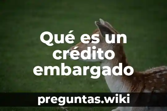 Qué es un crédito embargado