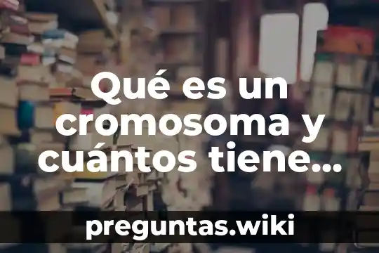 Qué es un cromosoma y cuántos tiene cada célula