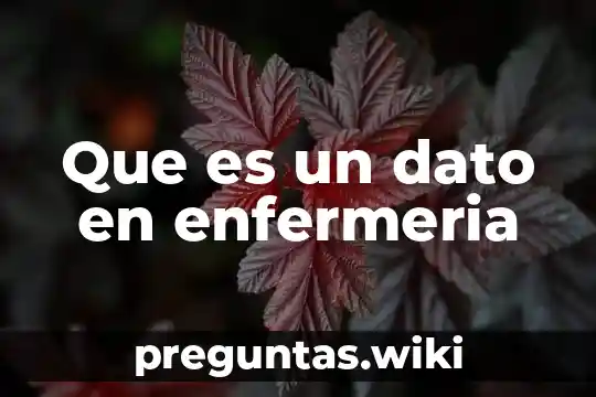Que es un dato en enfermeria