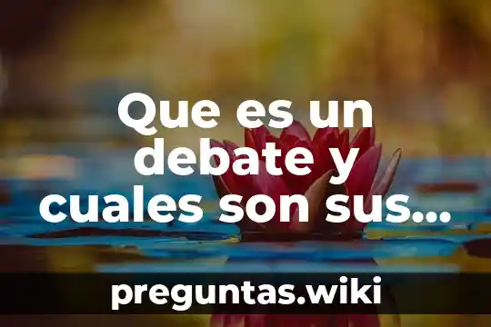 Que es un debate y cuales son sus reglas