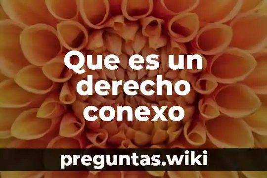 Que es un derecho conexo