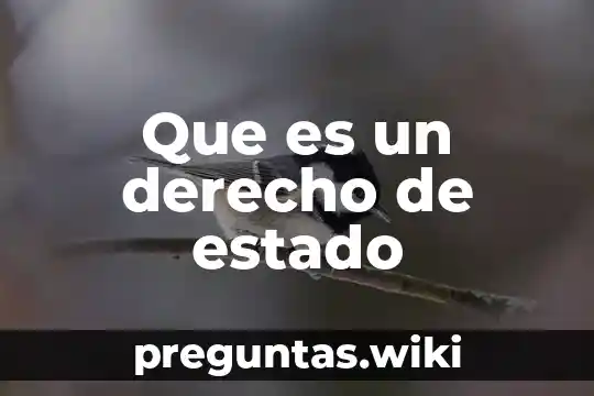 Que es un derecho de estado