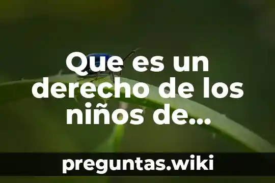 Que es un derecho de los niños de manera sintetizada