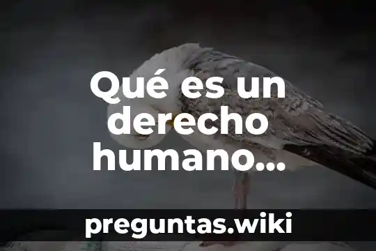 Qué es un derecho humano explicación para niños