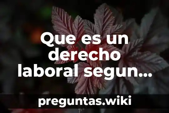 Que es un derecho laboral segun autores