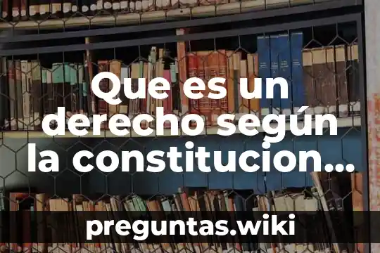 Que es un derecho según la constitucion politica de México