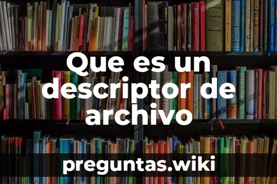 Que es un descriptor de archivo