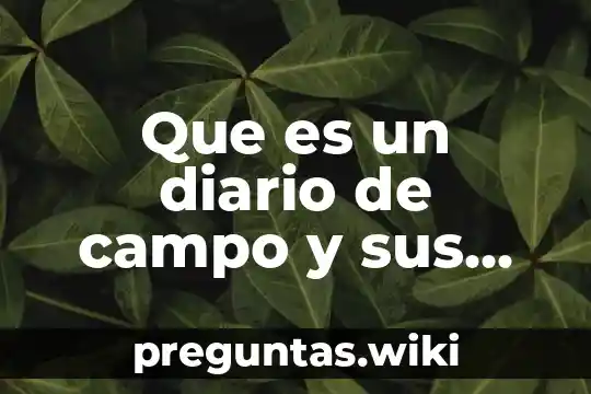 Que es un diario de campo y sus elementos