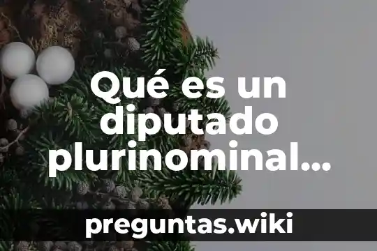 Qué es un diputado plurinominal definición