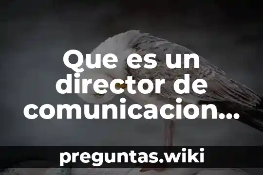 Que es un director de comunicacion social