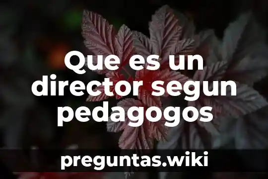 Que es un director segun pedagogos