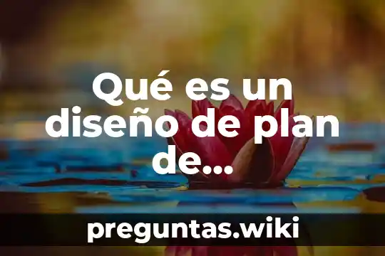 Qué es un diseño de plan de alimentación