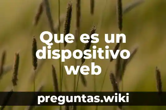 Que es un dispositivo web