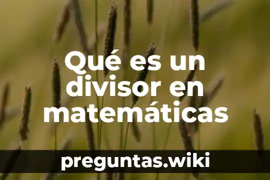 Qué es un divisor en matemáticas