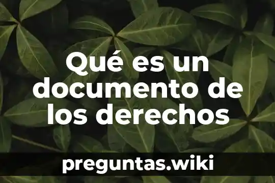 Qué es un documento de los derechos