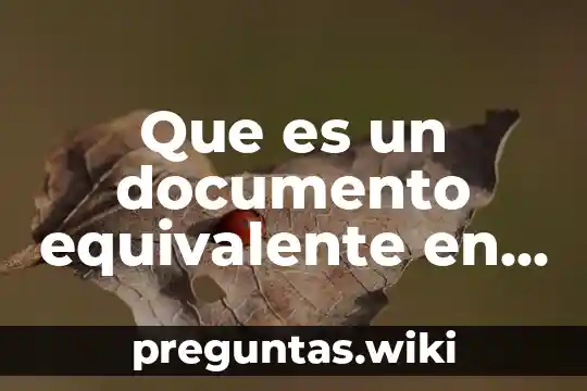 Que es un documento equivalente en contabilidad