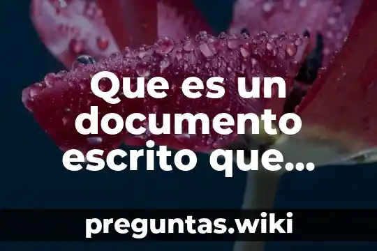 Que es un documento escrito que contiene