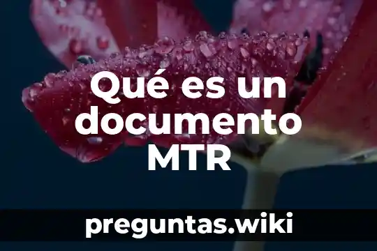 Qué es un documento MTR
