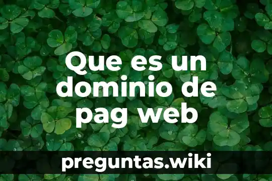 Que es un dominio de pag web
