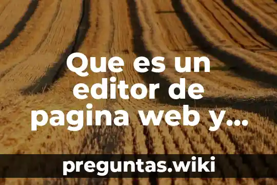 Que es un editor de pagina web y ejemplos