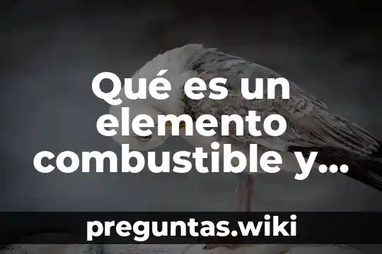 Qué es un elemento combustible y por qué se llaman así