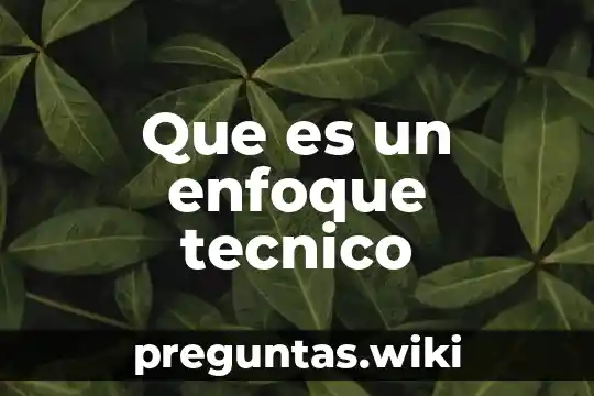 Que es un enfoque tecnico