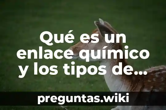 Qué es un enlace químico y los tipos de enlace