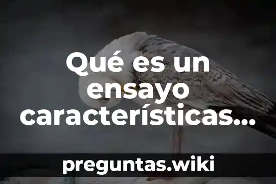 Qué es un ensayo características y estructura