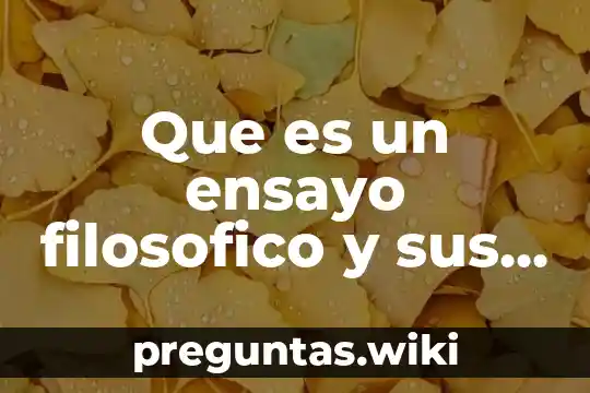 Que es un ensayo filosofico y sus caracteristicas