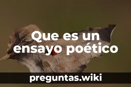 Que es un ensayo poético