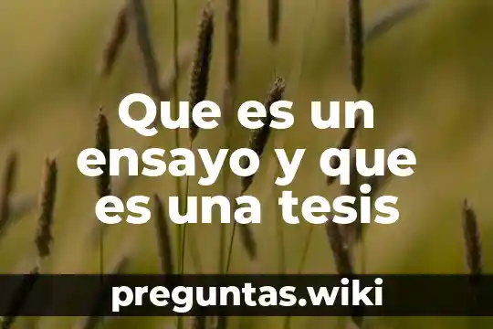 Que es un ensayo y que es una tesis