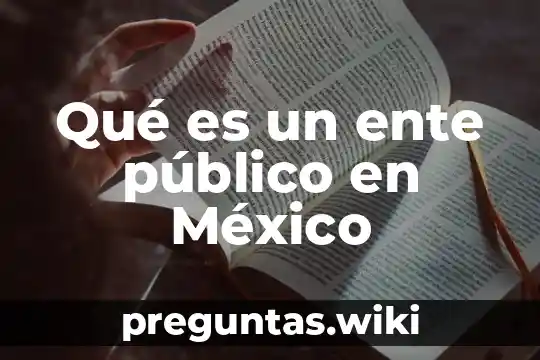 Qué es un ente público en México